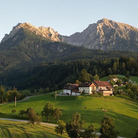 Singerskogel - Ferienhof Und Jausnstub'N Spital Am Pyhrn Εξωτερικό φωτογραφία
