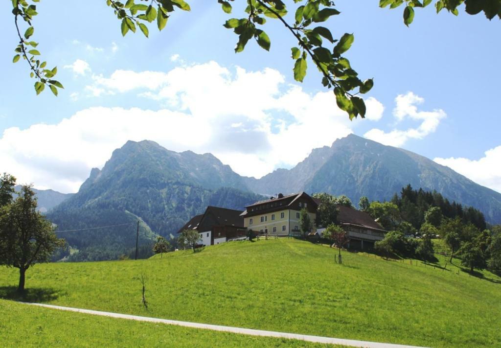 Singerskogel - Ferienhof Und Jausnstub'N Spital Am Pyhrn Εξωτερικό φωτογραφία